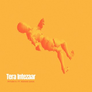 Tera Intezaar