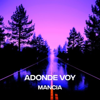 Adonde Voy lyrics | Boomplay Music