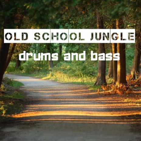 Old School Jungle | Boomplay Music