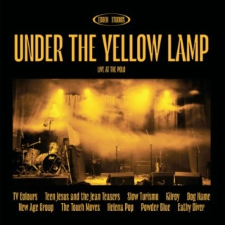 Under The Yellow Lamp - Live At The Polo
