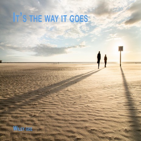 Its the way it goes | Boomplay Music