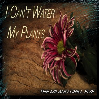 I Can't Water My Plants