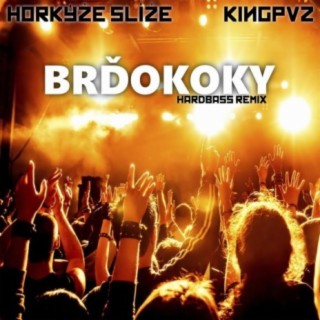 Brďokoky (Hardbass Remix)