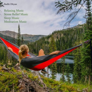 Stress Relief Music, Sleep Music, Meditation Music