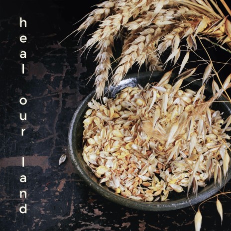 Heal Our Land ft. Brenda Merrick | Boomplay Music