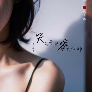 哭到崩溃爱到心碎 lyrics | Boomplay Music