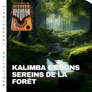 Kalimba et sons sereins de la forêt