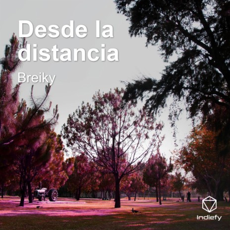 Desde la distancia | Boomplay Music