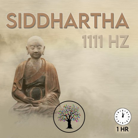 1111hz Siddhartha | Boomplay Music