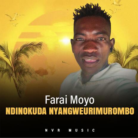 NDINOKUDA NYAMGWEURIMUROMBO-FARAI MOYO | Boomplay Music