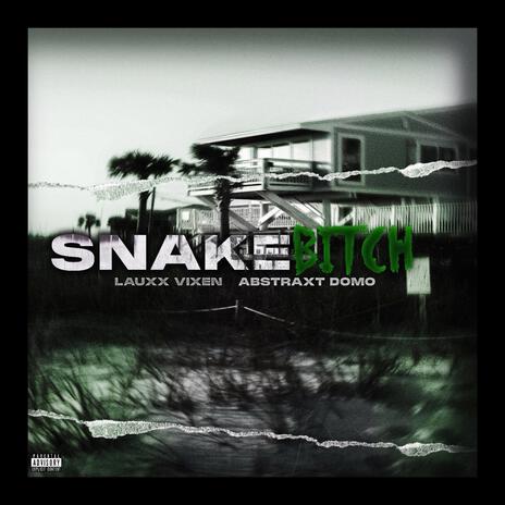 Snake Bitch ft. Abstraxt Domo | Boomplay Music