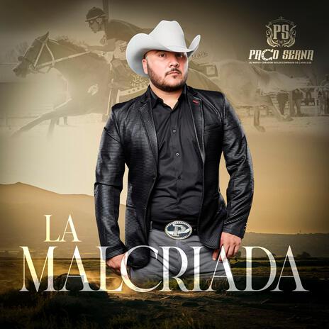 LA MALCRIADA | Boomplay Music