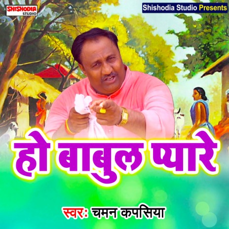 Ho babul pyare (Haryanvi) | Boomplay Music