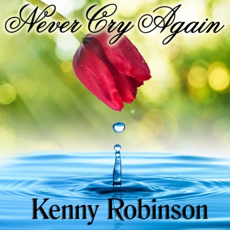 Never Cry Again | Boomplay Music