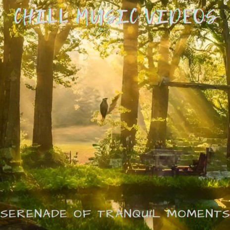Serenade of Tranquil Moments