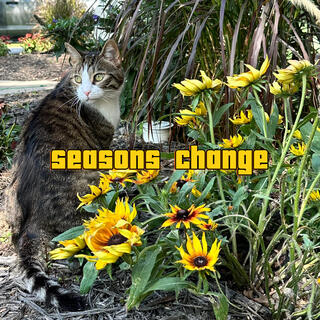 SEASONS CHANGE lyrics | Boomplay Music