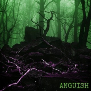 ANGUISH ft. TOMMY $INS lyrics | Boomplay Music