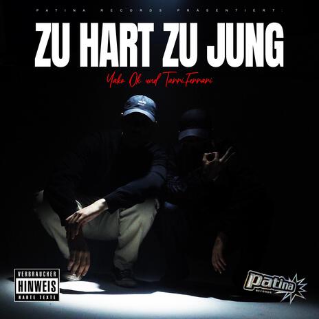 ZU HART ZU JUNG ft. Tarri.Ferrari | Boomplay Music