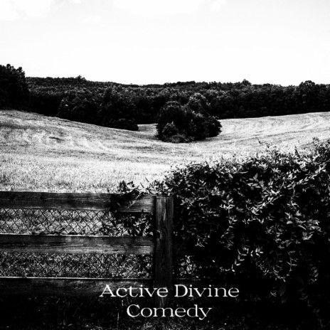 Active Divine Comedy | Boomplay Music