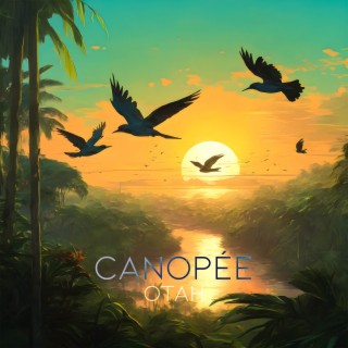 Canopée