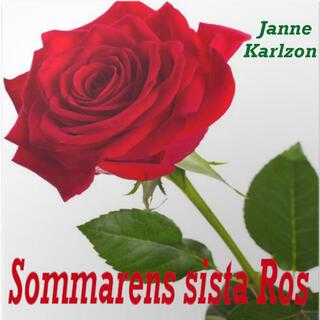 Sommarens sista Ros