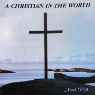 A Christian in the World
