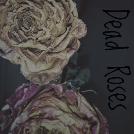 Dead Roses | Boomplay Music