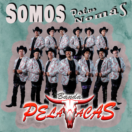 Somos polvo nomás | Boomplay Music