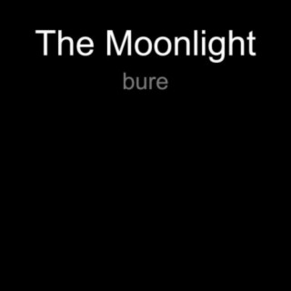 The Moonlight