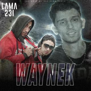 Waynek