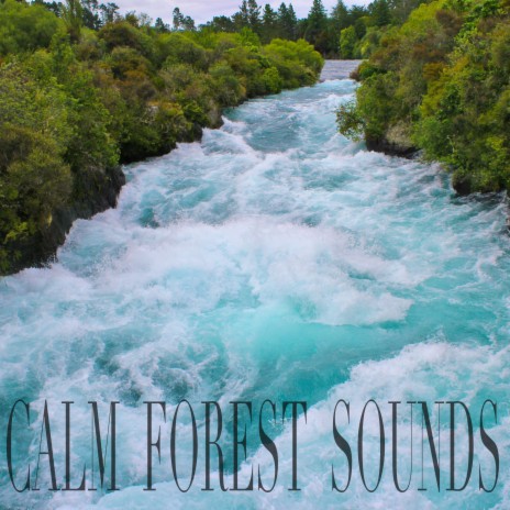 Water Sounds | Boomplay Music