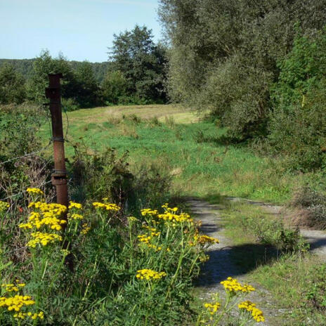 Région Nord | Boomplay Music