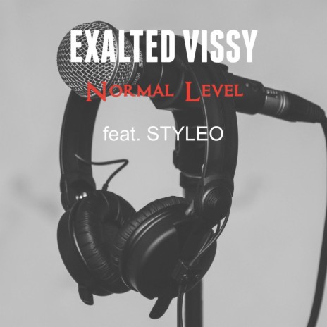 Normal Level ft. STYLEO | Boomplay Music