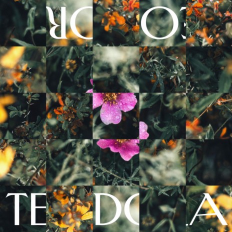Teodora (Abe Song Remix) | Boomplay Music