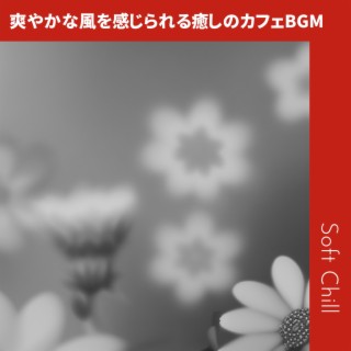 爽やかな風を感じられる癒しのカフェBGM