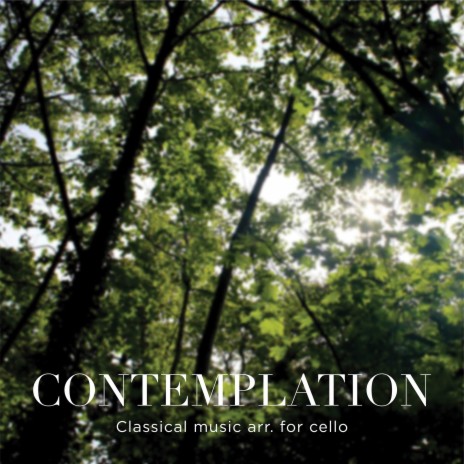 Concerto for Two Cellos - II. Largo ft. Artlist Classics