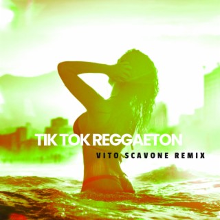 TIK TOK REGGAETON (Vito SCAVONE REMIX)