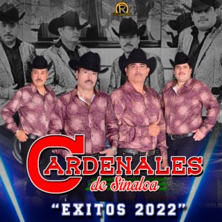 Exitos 2022