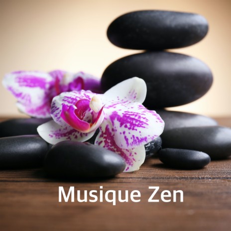 Musique de Méditation | Boomplay Music