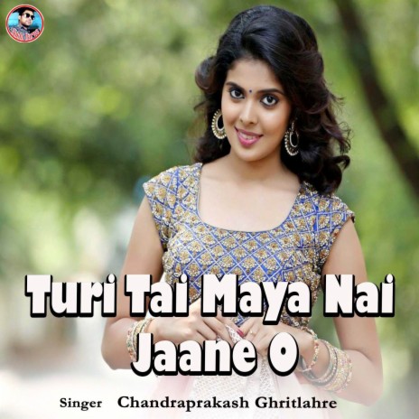 Turi Tai Maya Nai Jaane O | Boomplay Music