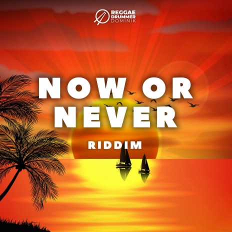 Now or Never Riddim | Boomplay Music