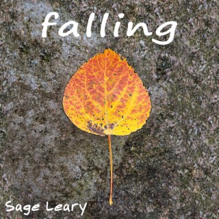 Falling lyrics | Boomplay Music