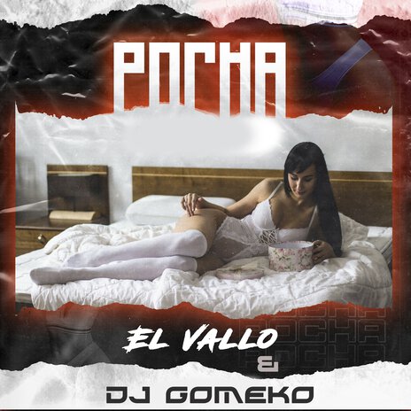 Pocha ft. El Vallo | Boomplay Music