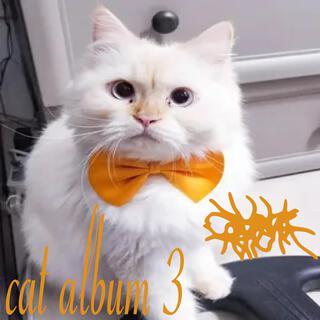 Cat Album 3