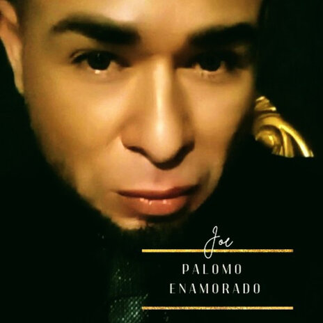 Palomo Enamorado | Boomplay Music