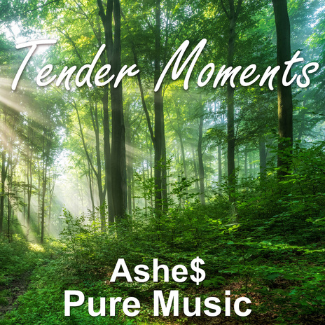 Tender Moments | Boomplay Music