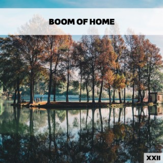 Boom Of Home XXII