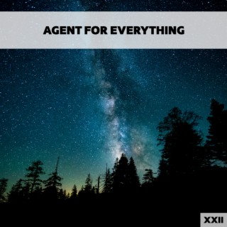 Agent For Everything XXII