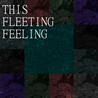 This Fleeting Feeling lyrics | Boomplay Music