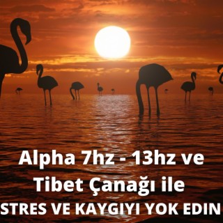 Alpha 7hz - 13hz ve Tibet Çanağı ile STRES VE KAYGIYI YOK EDIN